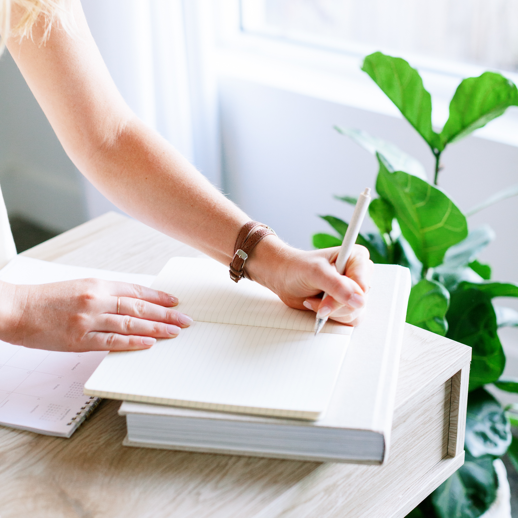 women-led business person at desk with plant