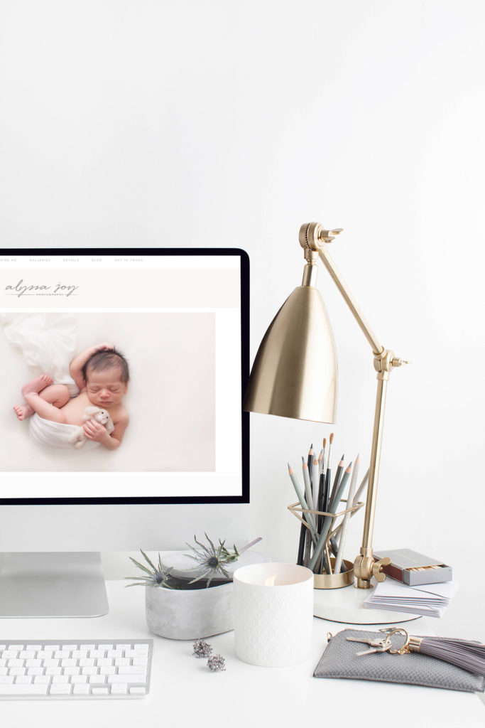 Pro Photo Websites for Photographers - a review of the latest version